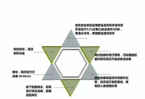 实业运营与建设 现代经济发展的核心驱动力